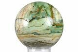 Gary Green Jasper (Larsonite) Bog Wood Sphere - Oregon #369047-1